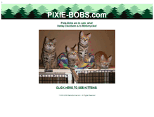 Tablet Screenshot of pixie-bobs.com